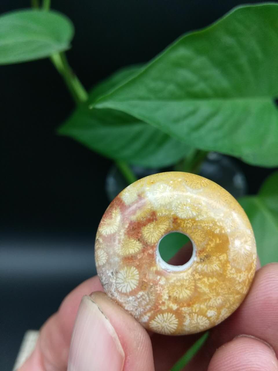 珊瑚玉什么花纹最值钱-探寻珊瑚玉之美：何种花纹最抢眼与稀有？