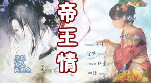 帝王恋游戏,宫廷权谋与爱恨情仇的华丽演绎