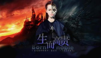 生而高贵游戏,探寻贵族血脉的荣